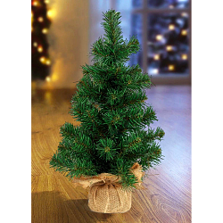 1100_8003101.png, 250x250