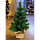 1100_8003101.png, 40x40